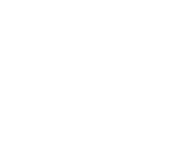 Astrologa en barcelona para cartas natales y astrales, sinastrias, revolución solar